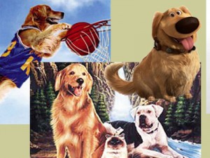 Dogs