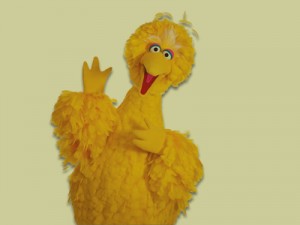 bigbird