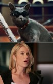 cats_and_dogs_the_revenge_of_kitty_galore-1-christina_applegate