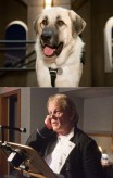 cats_and_dogs_the_revenge_of_kitty_galore-10-nick_nolte