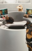 cats_and_dogs_the_revenge_of_kitty_galore-11