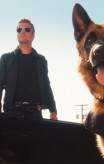 cats_and_dogs_the_revenge_of_kitty_galore-12-chris_odonnell