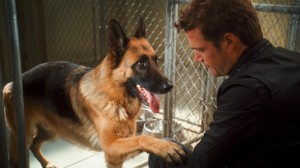 cats_and_dogs_the_revenge_of_kitty_galore-13-chris_odonnell