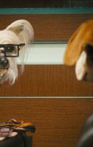 cats_and_dogs_the_revenge_of_kitty_galore-14