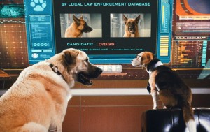 cats_and_dogs_the_revenge_of_kitty_galore-15