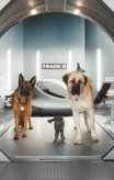 cats_and_dogs_the_revenge_of_kitty_galore-16
