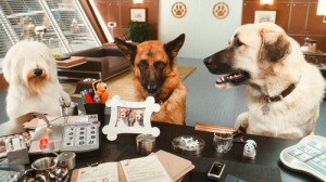 cats_and_dogs_the_revenge_of_kitty_galore-19