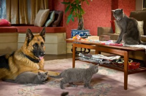 cats_and_dogs_the_revenge_of_kitty_galore-21