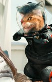 cats_and_dogs_the_revenge_of_kitty_galore-24