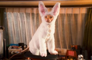 cats_and_dogs_the_revenge_of_kitty_galore-25