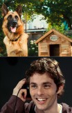 cats_and_dogs_the_revenge_of_kitty_galore-7-james_marsden