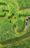 gnomeo_and_juliet-19