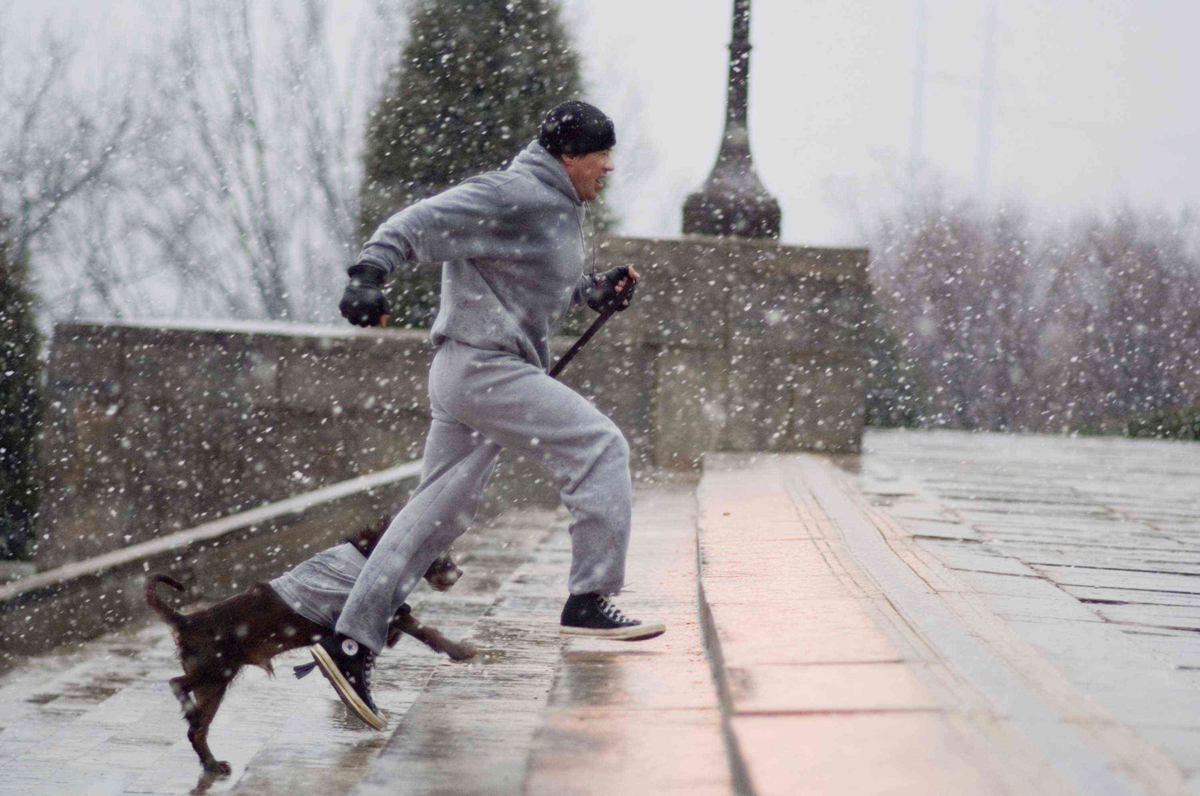 rocky_heavyweight_collection_on_bluray_contest-5-sylvester_stallone