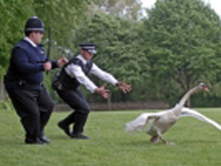 Hot_Fuzz_nicholas_angel_edgar_wright_comedy
